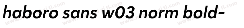 haboro sans w03 norm bold字体转换